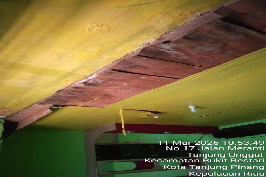 WhatsApp Image 2026-03-11 at 11.39.35