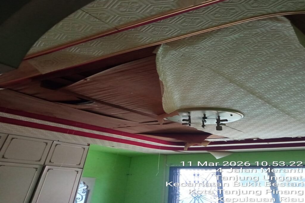 WhatsApp Image 2026-03-11 at 11.40.14